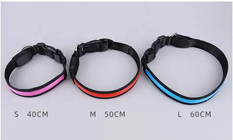 USB Rechargeable LED Dog Collar - Adjustable, Flashing Light Safety Collar for All Dog Sizes