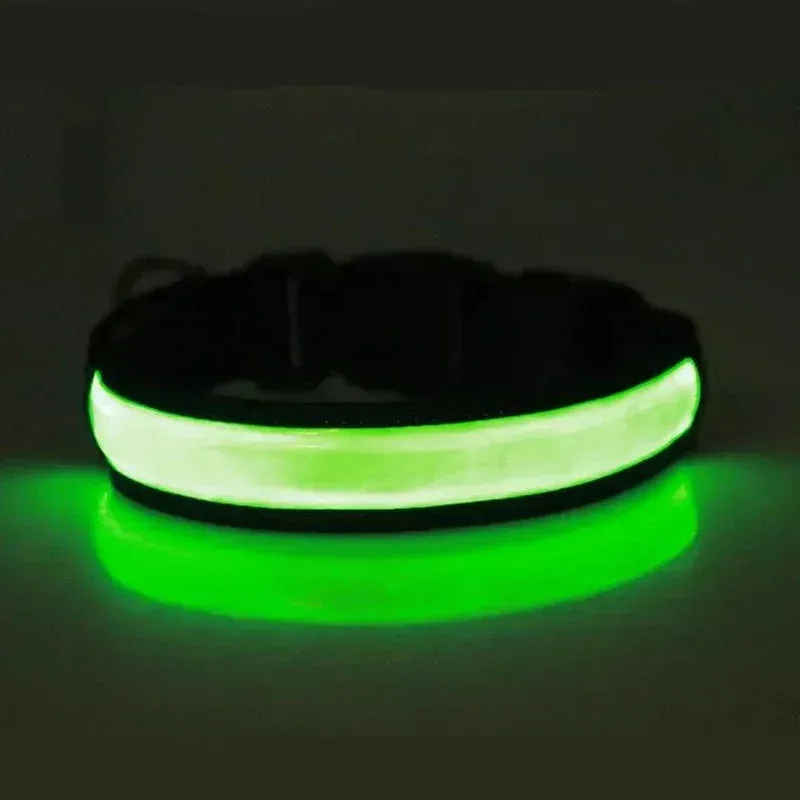 USB Rechargeable LED Dog Collar - Adjustable, Flashing Light Safety Collar for All Dog Sizes