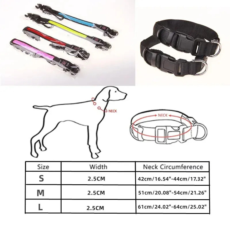 USB Rechargeable LED Dog Collar - Adjustable, Flashing Light Safety Collar for All Dog Sizes