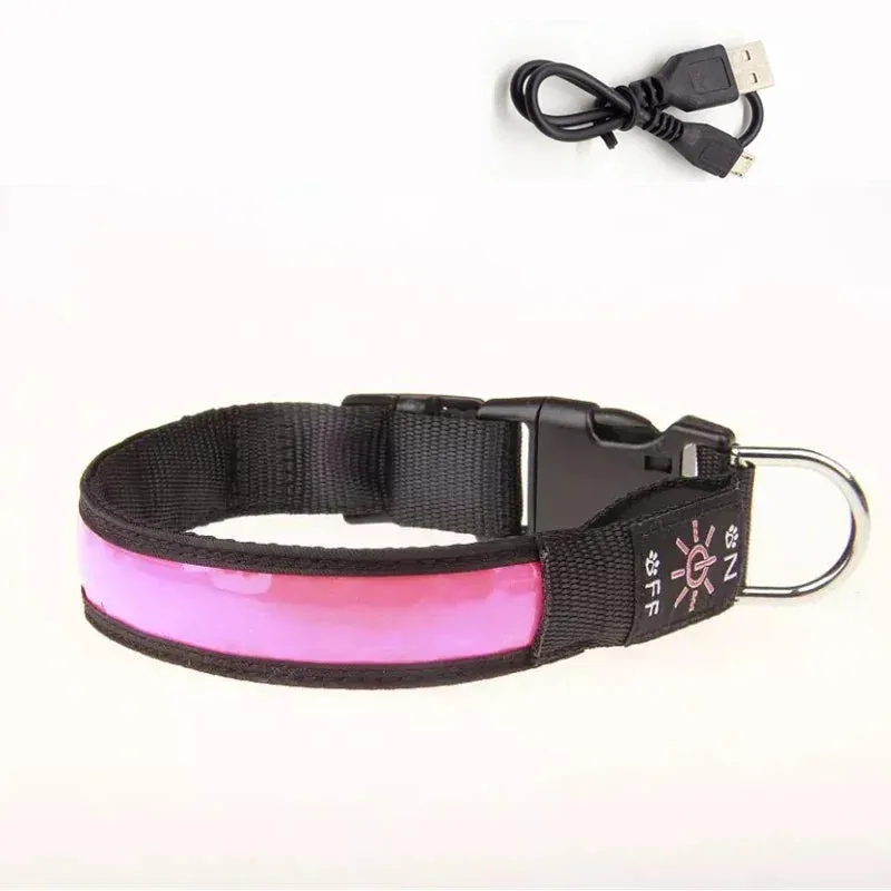 USB Rechargeable LED Dog Collar - Adjustable, Flashing Light Safety Collar for All Dog Sizes