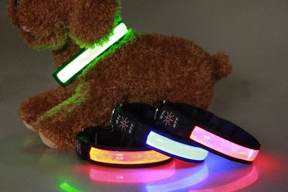 USB Rechargeable LED Dog Collar - Adjustable, Flashing Light Safety Collar for All Dog Sizes