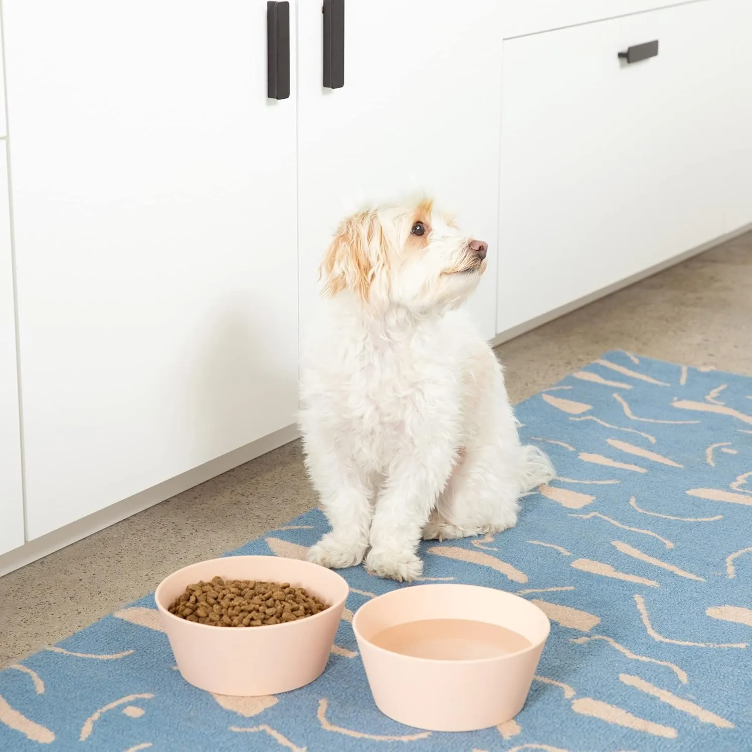 Waggo Habit Silicone Dog Bowl for All Breeds - Modern Heavyweight Silicone, Durable Pet Food and Water Dish Crock, Dishwasher Safe (Midnight)