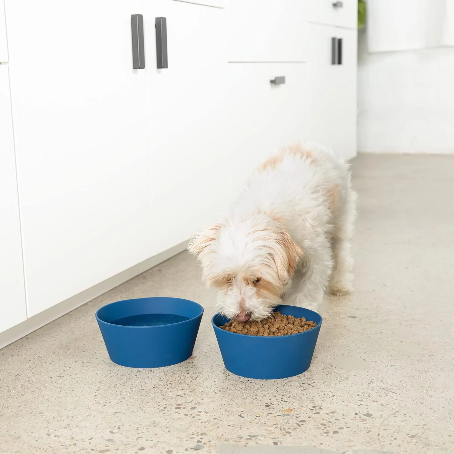 Waggo Habit Silicone Dog Bowl for All Breeds - Modern Heavyweight Silicone, Durable Pet Food and Water Dish Crock, Dishwasher Safe (Midnight)
