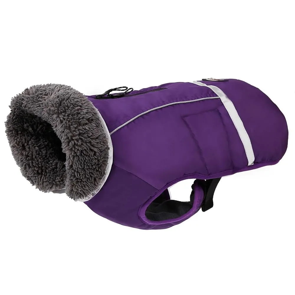 Warm Coat for frenchie (CS1)