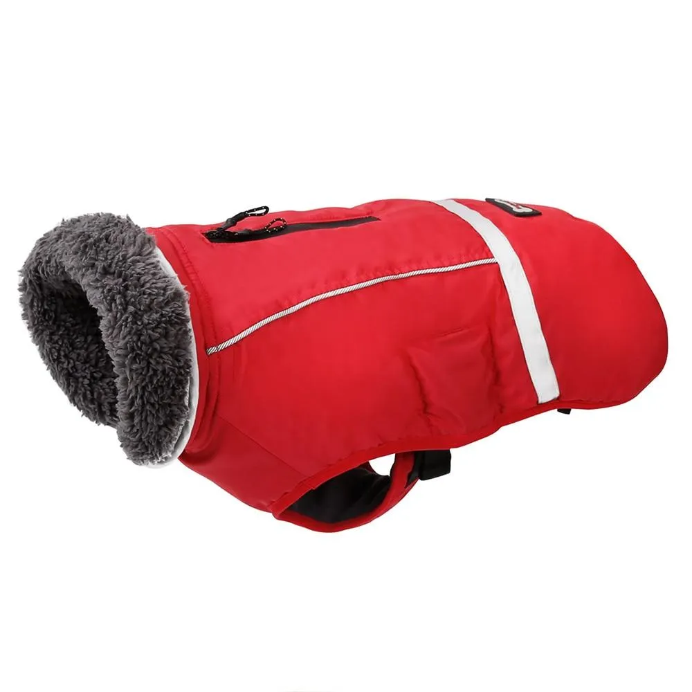 Warm Coat for frenchie (CS1)