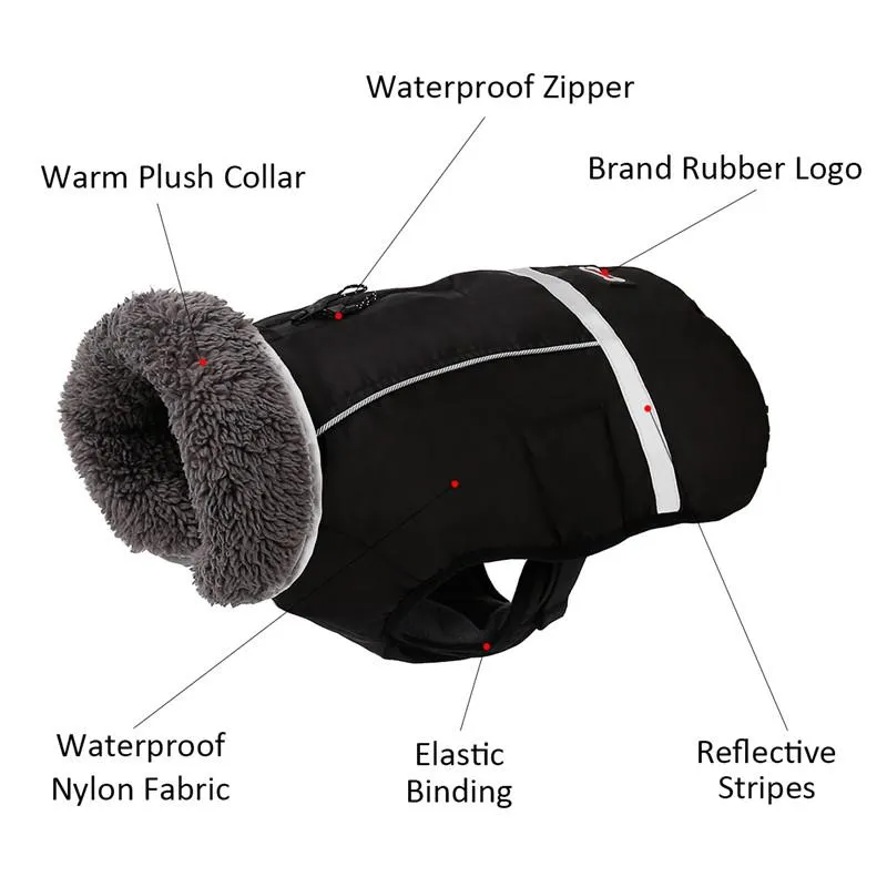 Warm Coat for frenchie (CS1)