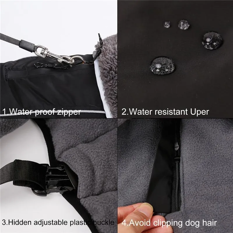 Warm Coat for frenchie (CS1)