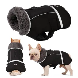 Warm Coat for frenchie (CS1)