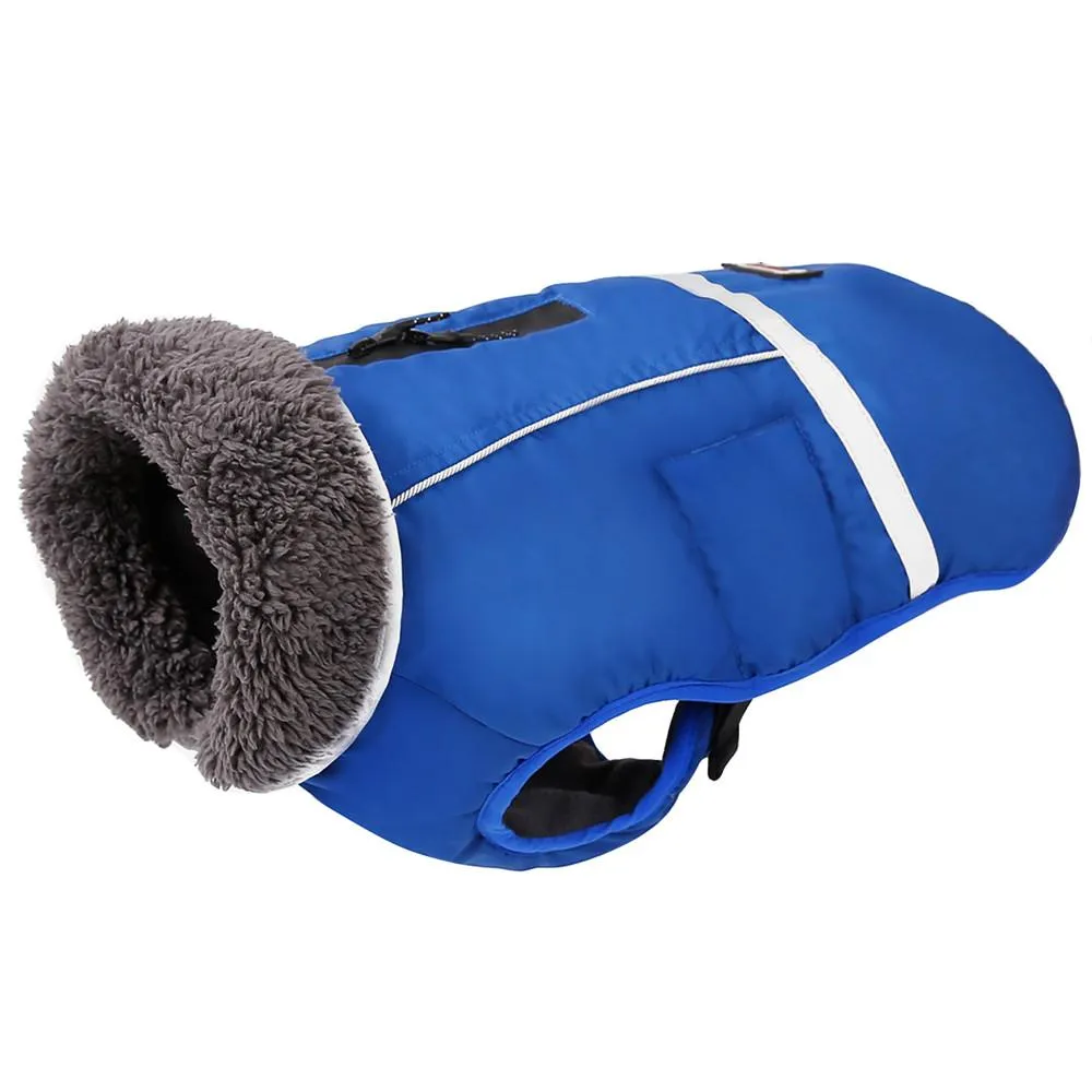 Warm Coat for frenchie (CS1)