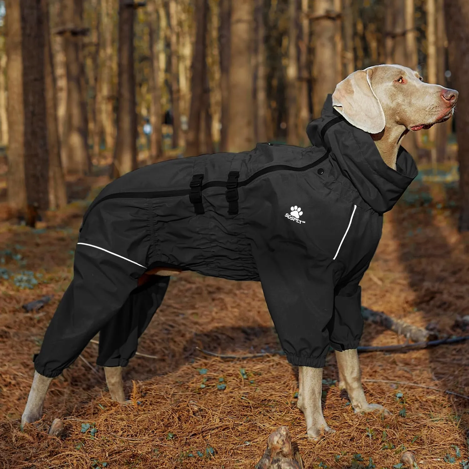 Waterproof Pet Raincoat, 4 Legs Design with Leash Hole and Reflective Strips, Lightweight Poncho for Small to Medium Dogs, Puppy Rain Jacket (Black, 2XL)