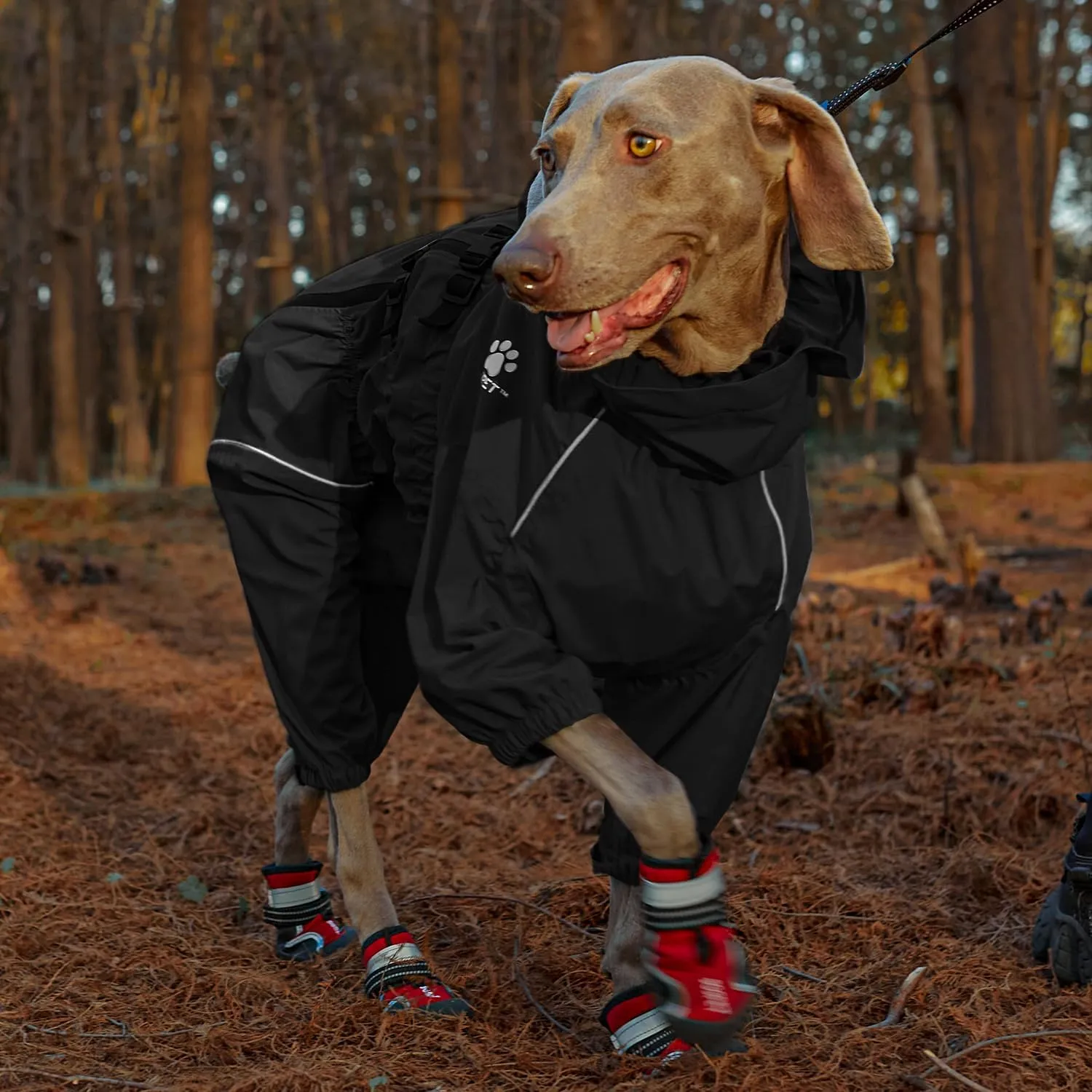 Waterproof Pet Raincoat, 4 Legs Design with Leash Hole and Reflective Strips, Lightweight Poncho for Small to Medium Dogs, Puppy Rain Jacket (Black, 2XL)