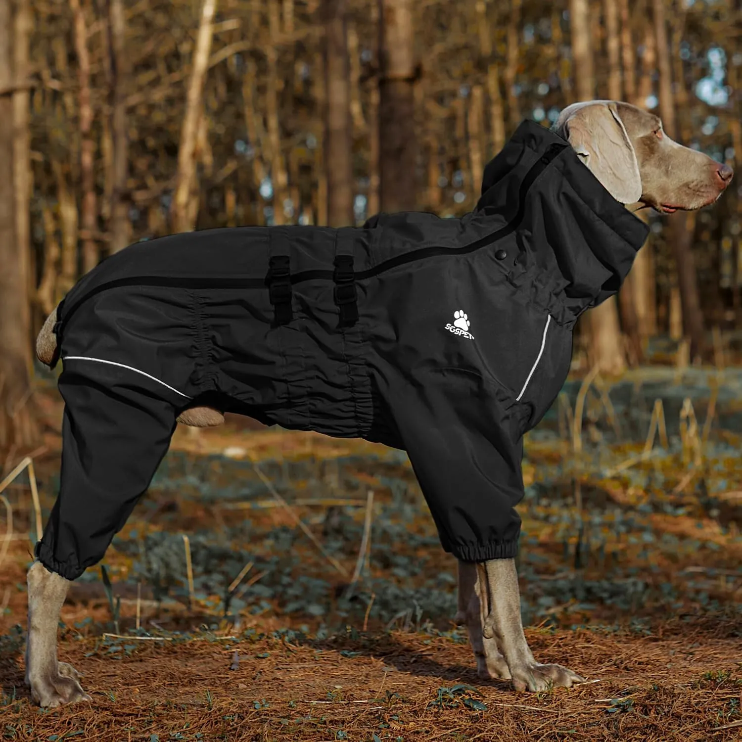 Waterproof Pet Raincoat, 4 Legs Design with Leash Hole and Reflective Strips, Lightweight Poncho for Small to Medium Dogs, Puppy Rain Jacket (Black, 2XL)