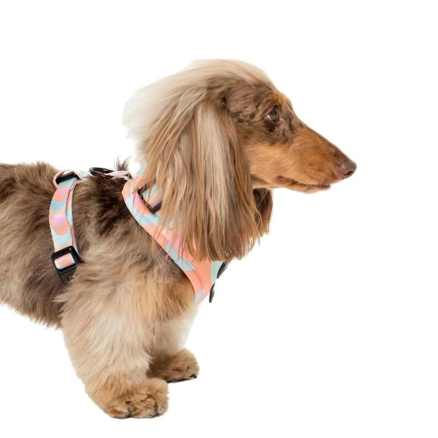 Wavy Adjustable Harness