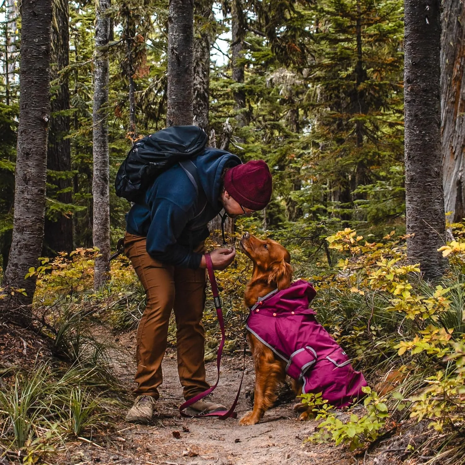 Wilderdog Dog Jacket Waterproof Raincoat with Breathable Interior, Removable Hood, Torso Strap, Secure Closures, Back Pocket and Two Hanging Loops, Foldable into Back Pocket