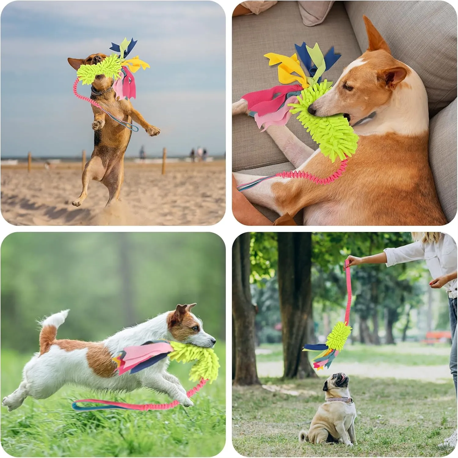 Wodoca Dog Tug Toys - Aggressive Chewer Rope Toy with Strong Squeak, Ideal for Large Dogs, Training, and Play